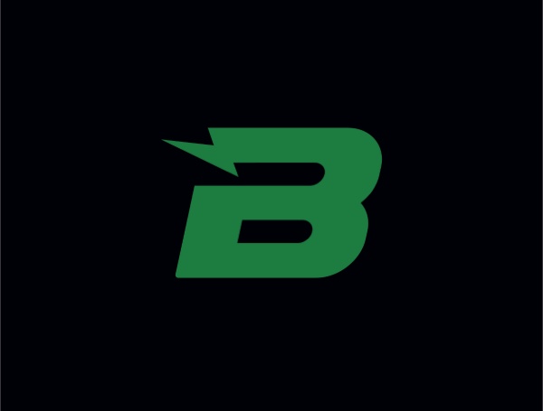 Balaban Hybrid Camp logosu